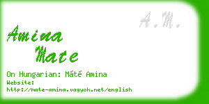 amina mate business card