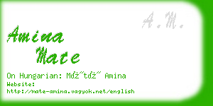 amina mate business card